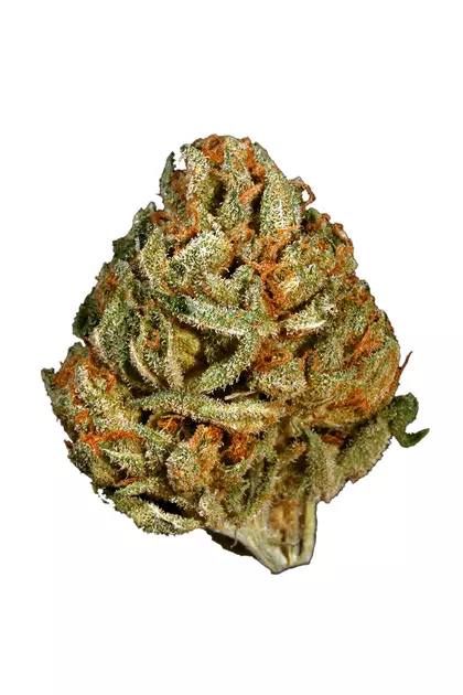 Neptune Kush Marijuana Strain